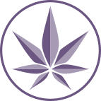 Conway-Cannabis